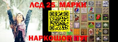 Альфа ПВП Ачхой-Мартан