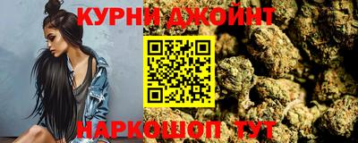 Альфа ПВП Ачхой-Мартан