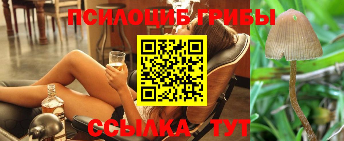 Псилоцибиновые грибы мицелий Братск